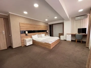 pensiune-iasi- (9)